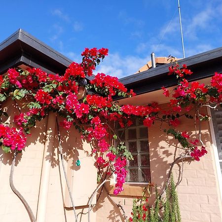 Summerhouses 努萨维尔 外观 照片